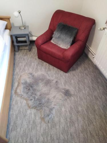 a dog laying on the floor next to a red chair at Ubytování - U nás doma in Orličky