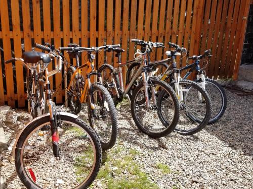 eine Gruppe Fahrräder, die neben einem Zaun geparkt sind in der Unterkunft Aysen Bike Cabañas in Puerto Aisén