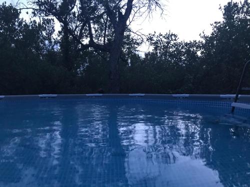 The swimming pool at or close to Mzsingitana Tented Camp