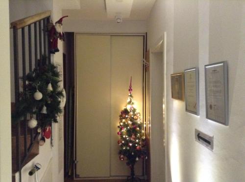 a christmas tree in a hallway next to a door at APARTMANI Emerald Dream in Novi Sad