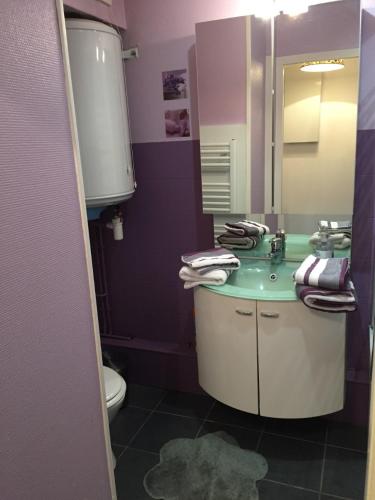 a bathroom with a sink and a toilet and a mirror at les magnolias in Colmar