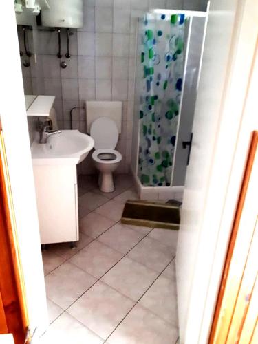 a bathroom with a toilet and a sink and a shower at Apartment with Sea View in Prigradica