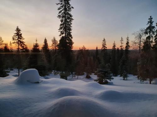 a snow covered field with trees and a sunset at Hietavilla Aurora in Ruka