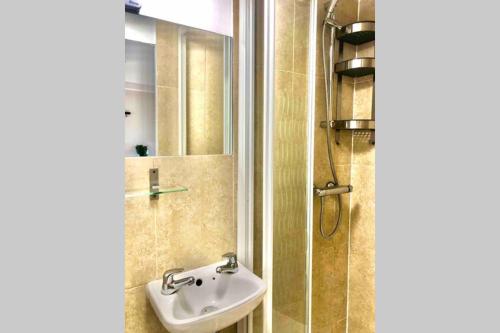 La salle de bains est pourvue d'un lavabo et d'une douche. dans l'établissement Modern Studio Apartment Near Town Centre, à Poole