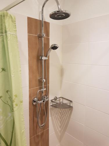 a shower with a shower head in a bathroom at Ferienwohnung in Osterdeichstrich in Oesterdeichstrich