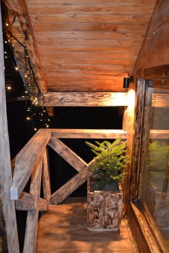 a wooden room with a plant in a vase at VIP-Domyk in Rakhiv