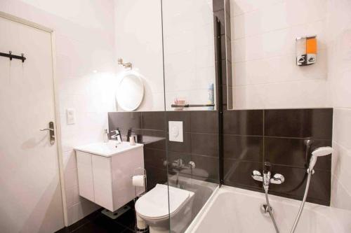 uma casa de banho com um WC, um lavatório e um chuveiro em La Cour du Faubourg 1 (LCDF1) em Estrasburgo