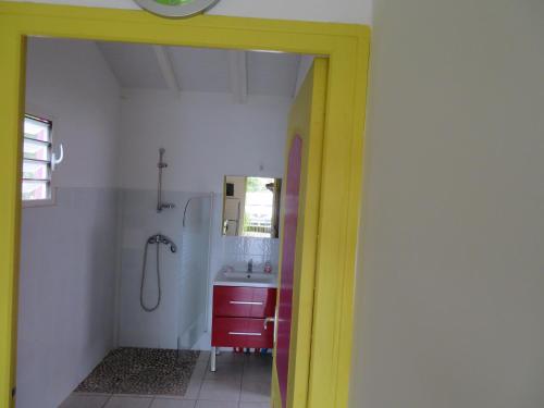 a bathroom with a sink and a shower at Gite KAZ A LILINE in Le Moule