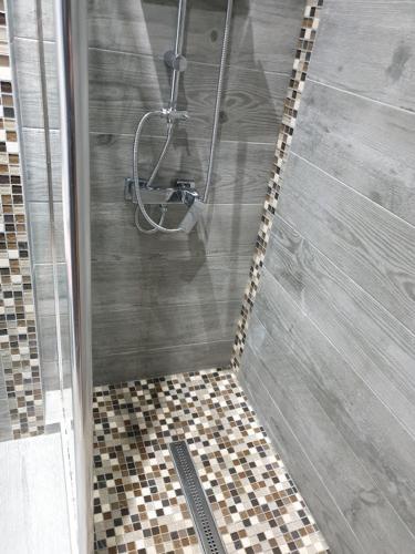 a shower in a bathroom with a tiled floor at Garsoniera Maria in Onești