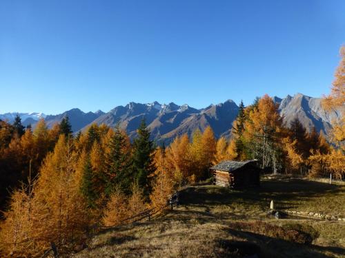 Naturlandschaft in der Nähe der Ferienwohnung