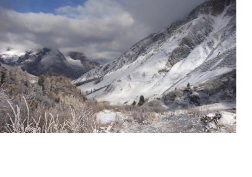 a snow covered mountain with trees in the foreground at Le cocon du Catogne proche Martigny Verbier - Netflix - in Les Valettes