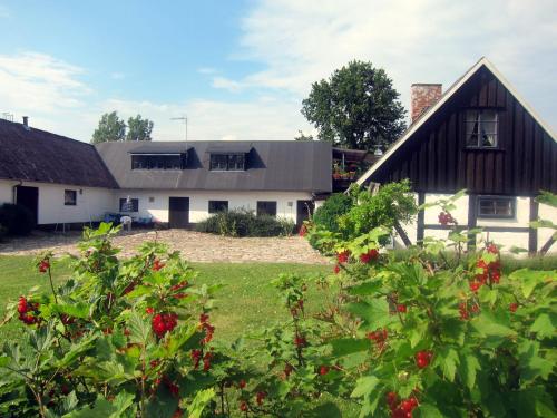 una casa con un patio verde con flores en Brösarp Källagården Lilla Gårdslägenheten, en Brösarp