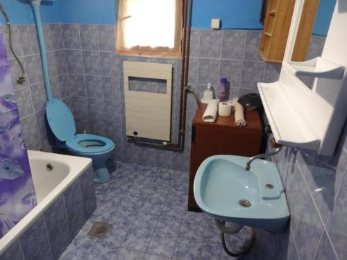 a bathroom with a blue sink and a toilet and a tub at Apartman MILENA in Foča