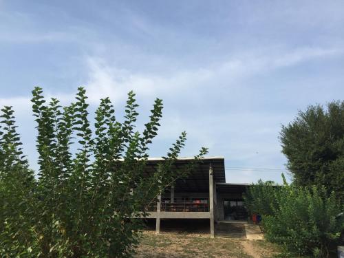 a house with a tree in front of it at ชลลดา ริเวอร์ โฮมสเตย์ แก่งกระจาน in Ban Wang Malako