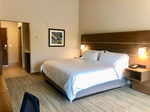 Gallery image of Holiday Inn Express - Macon North, an IHG Hotel in Macon