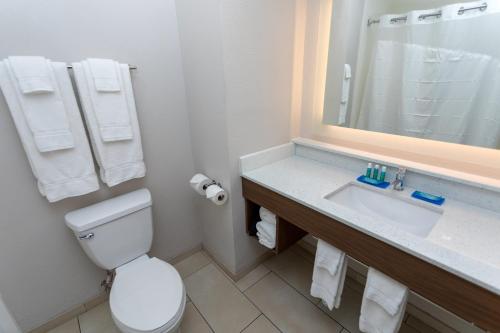 Ванная комната в Holiday Inn Express Hotel & Suites Athens, an IHG Hotel