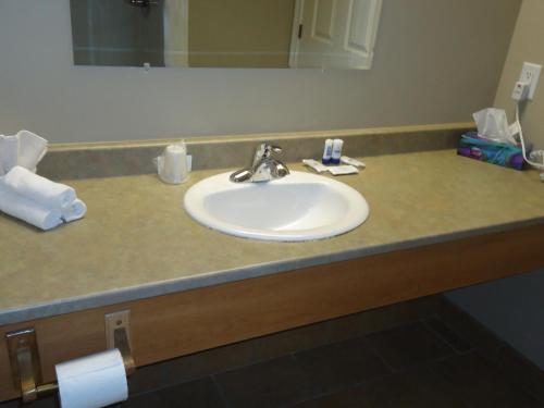 a bathroom counter with a white sink and a mirror at Auberge Bouctouche Inn & Suites in Bouctouche