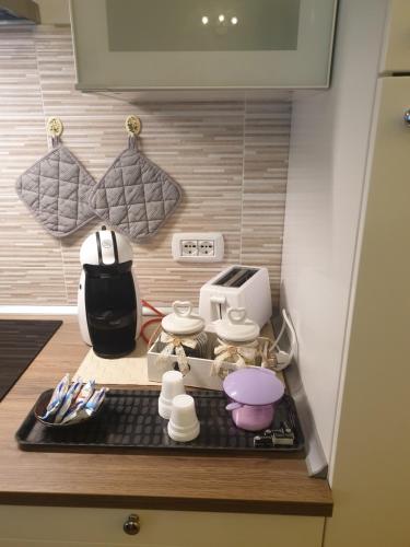 uma cozinha com uma bancada com uma torradeira e um micro-ondas em FRANCY HOUSE 2 em Bolonha
