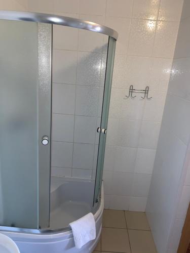 a shower with a glass door in a bathroom at Pid Yavorom in Ivano-Frankivsʼk