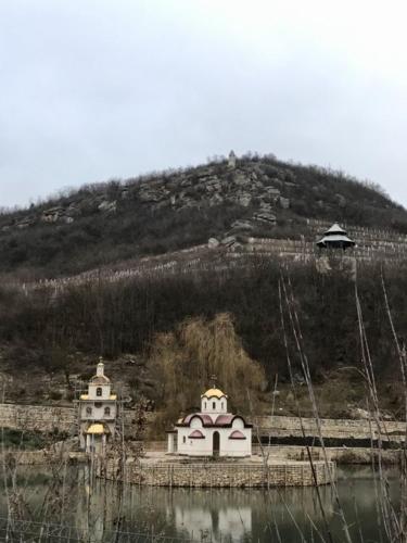 two buildings on a hill next to a body of water at маленькое шале в с.Строенцы in Stroieşti
