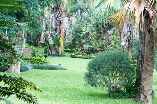 St George's Guest House في تزانين: حديقة بها عشب أخضر وأشجار نخيل