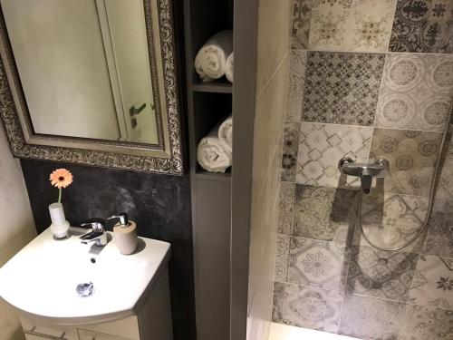 La salle de bains est pourvue d'un lavabo et d'une douche. dans l'établissement Die Altstadt Appartements Caprice, à Goslar
