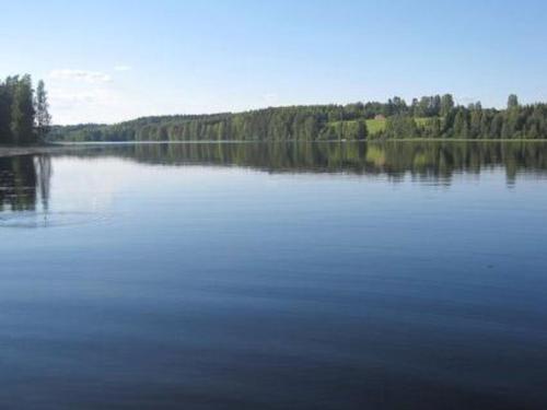 a large body of water with trees in the background at Holiday Home Viljamaan lomamökit 2 by Interhome in Vaskivesi