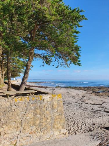 a tree on a stone wall next to a beach at PENTY SERVANE in Loctudy