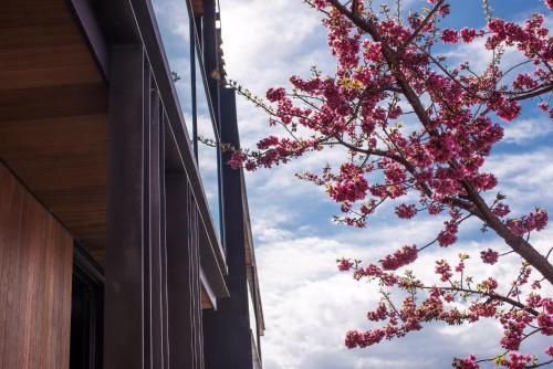 a tree with pink flowers in front of a building at Yakamoz Erhai Hotel in Dali