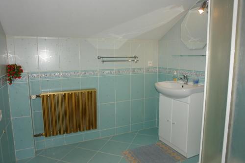 a bathroom with a sink and a shower with a radiator at Apartamenty pokoje INA in Ustroń