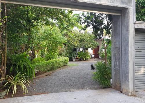 a cat sitting in the entrance to a garage at Villa Prias by Amrea in Aluthgama