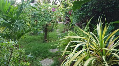 a path through a garden with plants and trees at Villa Prias by Amrea in Aluthgama