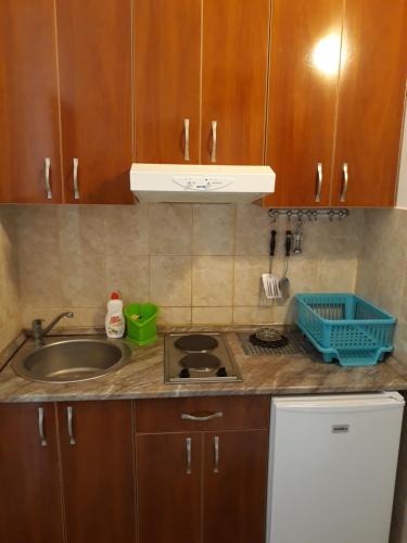 Kuchyň nebo kuchyňský kout v ubytování Apartments Teodora Obala
