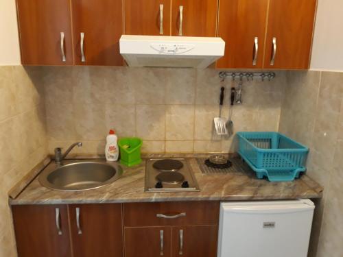 Kuchyň nebo kuchyňský kout v ubytování Apartments Teodora Obala