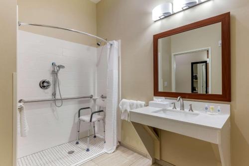 uma casa de banho com um lavatório, um chuveiro e um espelho. em Comfort Suites Greensboro-High Point em Greensboro