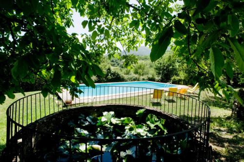 a bird bath with plants in it next to a pool at Entire property Florence private pool park in Barberino di Mugello