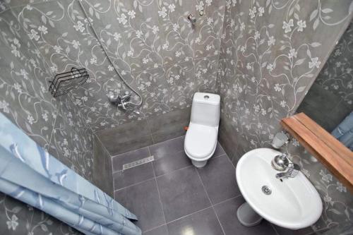 a bathroom with a toilet and a sink at HOTEL Dadu in Batumi