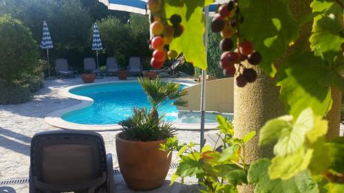 una piscina en un patio con sillas y plantas en B&B La Perla 1, en Punat