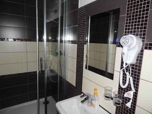 a bathroom with a shower and a sink and a shower at Wellness penzion Harmonie Rohanov in Prachatice