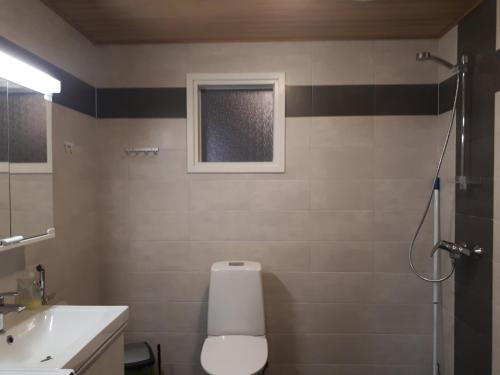 a bathroom with a toilet and a sink and a shower at Modern Slope Apartment in Vuokatti