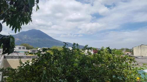 a mountain in the distance with a tree at Hotel Tazumal House in San Salvador