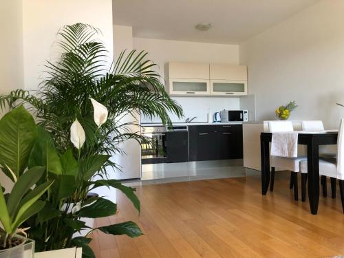 eine Küche und ein Esszimmer mit einem Tisch und Pflanzen in der Unterkunft Apartment Charming in Split