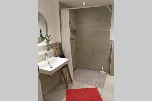 a bathroom with a shower and a sink and a mirror at Apartment - SÜDWÄRTS - im Blauen Land in Murnau am Staffelsee