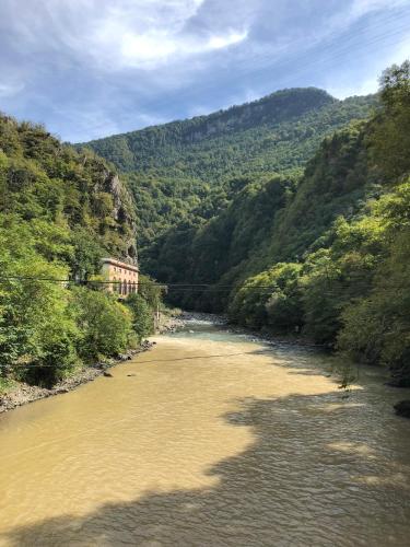a view of a river in a valley with trees at HOTEL Dadu in Batumi