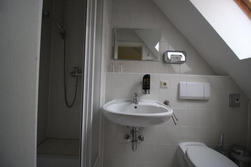 a bathroom with a sink and a shower at Landhaus Alt Reddevitz in Middelhagen