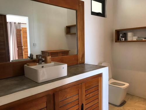 a bathroom with a sink and a mirror and a toilet at COCO MANGO Villa in Trèfles