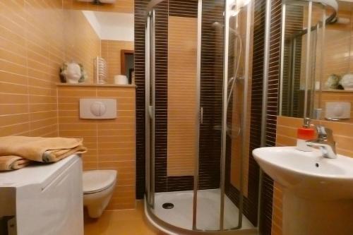斯維諾烏伊希切的住宿－apartament u Ani，带淋浴、卫生间和盥洗盆的浴室