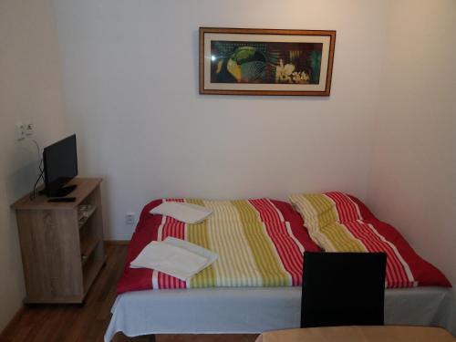 Televízia a/alebo spoločenská miestnosť v ubytovaní Apartmány Rohlík