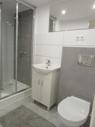 卡齊米日－多爾尼的住宿－Domek w ogrodzie，浴室配有卫生间、盥洗盆和淋浴。