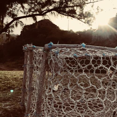 a net in a field with the sun behind it at COCO MANGO Villa in Trèfles